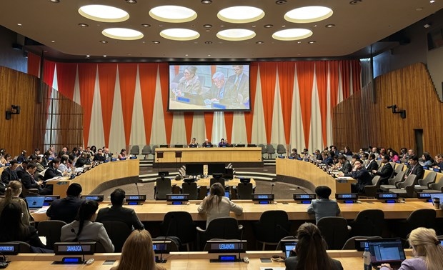 Vietnam elected to UN Women’s Executive Board for 2025-2027